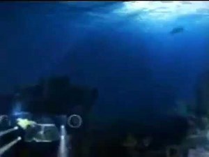 Bumpers "Pucca" Disney XD