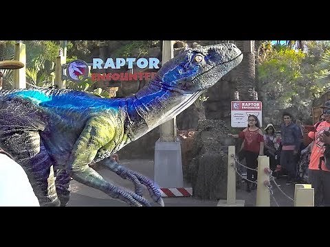 Velociraptor BLUE at Raptor Encounter! Jurassic World at Universal Studios Hollywood.