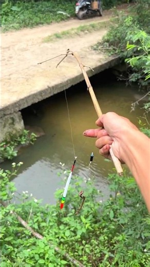 How to Catch Fish in River Most Unique Hook Fishing Video #fishing #shortvideo