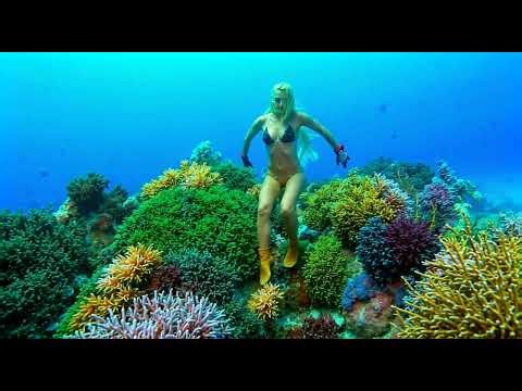 Top 5 Coral Reef Diving Experience Underwater World | Relaxing Ocean Episode 31