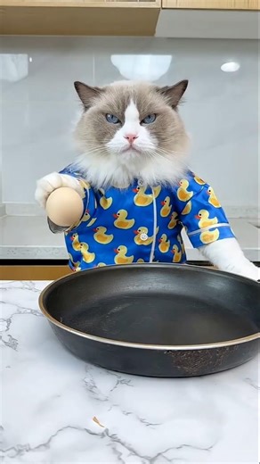 Turning a normal egg into something crazy 😳🥚 #shortvideo