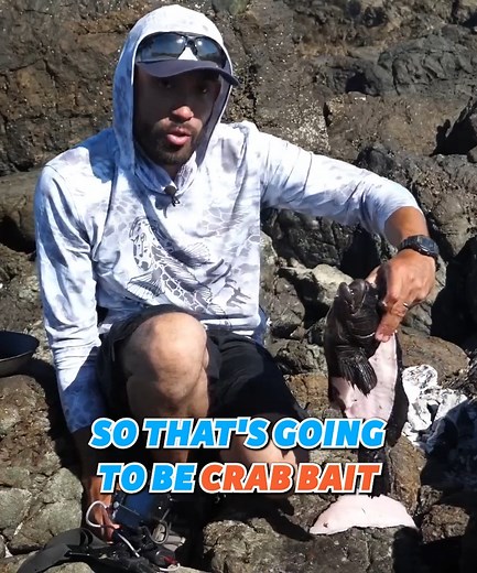 Catching and Cooking an Exotic Fish! 🐠 #catchandcook #fishing | Fisherman's Life