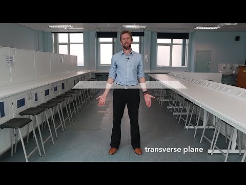 Anatomical position, planes, movements