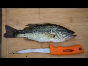 Largemouth BASS Catch and Cook