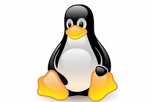 Linux vs windows - différence et comparaison - Blog 2026