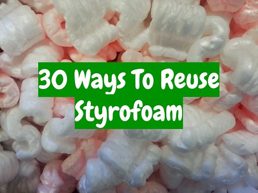30 Creative Ways To Reuse Styrofoam (With How-To Details!)