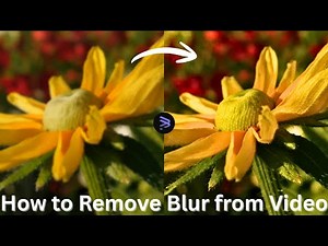 How to Remove Blur from Video | Make Your Footage Crystal Clear with AI
