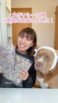 A tour of my sticker album filled with Bonbon Drops! #shorts