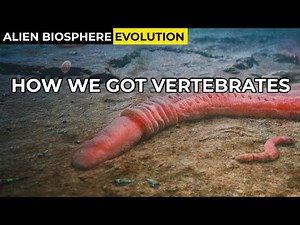 The Vertebrate Recipe | Alien Biosphere Evolution #9