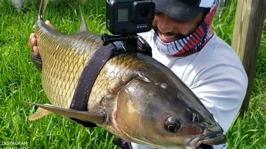 We Put a GoPro on a Fish! The Footage Is Incredible