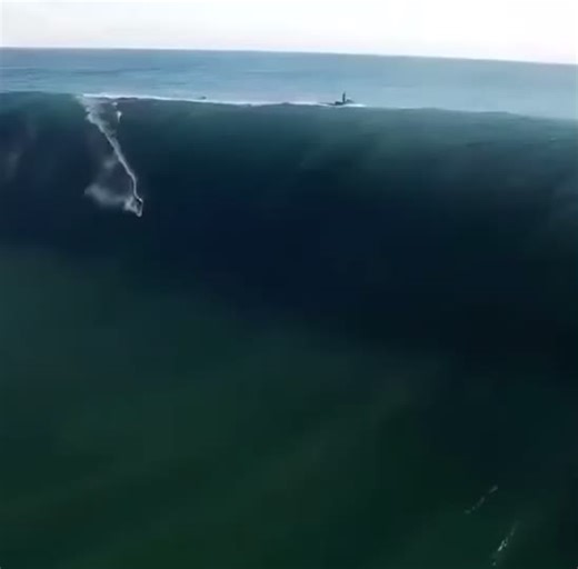 Surfing Videos on TikTok