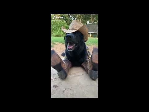 THOMAS MAC - Countryfied (Official Music Video)