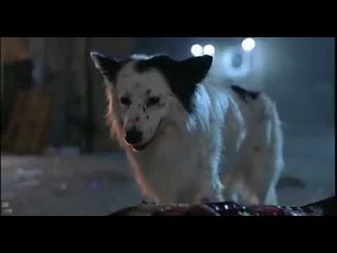 Alien Dog Scene | THE HIDDEN (1987)