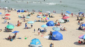 Cape Cod Beach Guide 2024