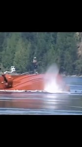 Tug capsized after girding. Do you see any PFDs on the crew?🧐 | The Maritime Telegraph