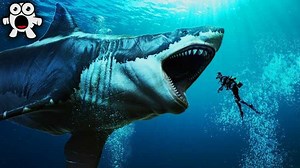 Largest Sea Creatures that Ever Existed