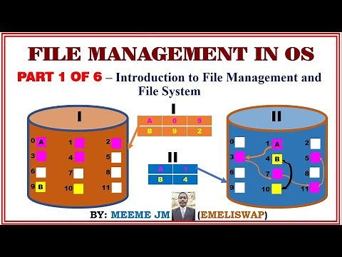 File Management | Introduction to File Management and File System