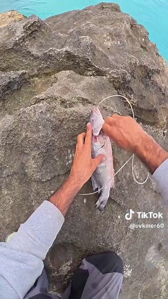 Saltwater Fishing Tips & Techniques