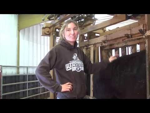 Proper Freeze Branding