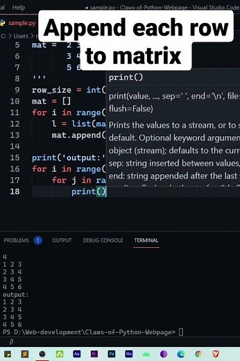 How to take matrix input in Python?