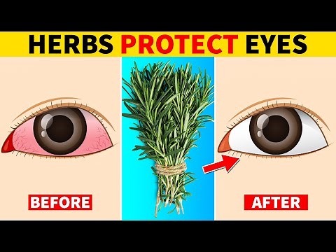 7 Herbs That Protect Eyes and Repair Vision