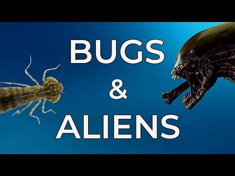 Bugs in Sci-Fi Movies : How Insects Inspired the Xenomorph in the Alien Movies