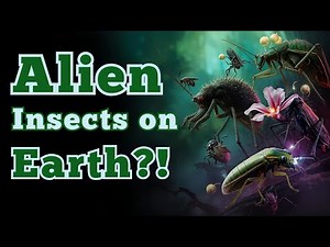 Alien Insects on Earth?!