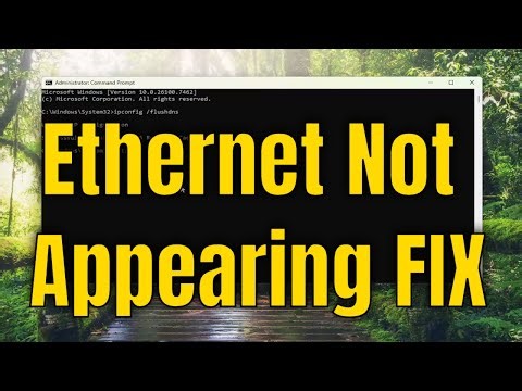 How to Fix Ethernet Not Appearing in Computer Control Panel [Solution]