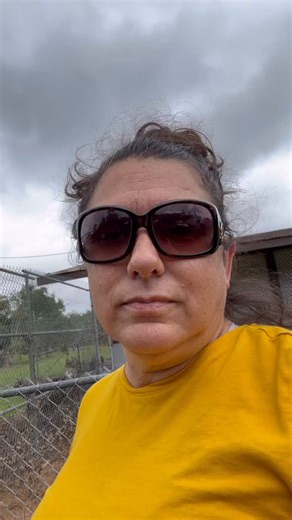 A day in the rescue life? #bigisland #hawaii #dogs | Aloha Ilio Rescue