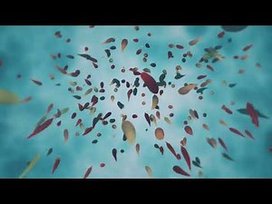 Colorful Tropical Fish Motion Background | Relaxing Screensaver | Loop