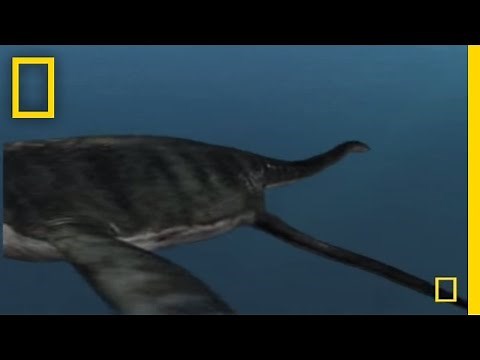MONSTERS of the Ancient Seas | National Geographic