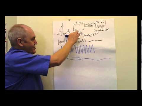 ECG (Electrocardiogram) EKG Lesson
