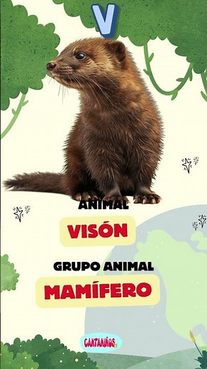El Abecedario de los Animales - Letra V 🐾