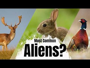 These Aliens are at large in the UK!