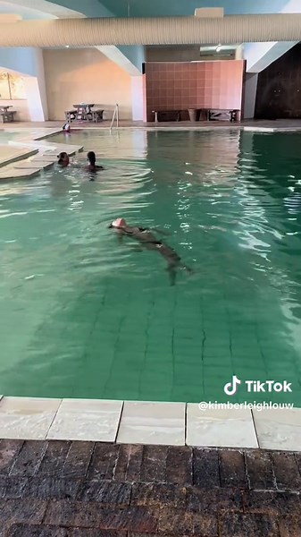 🤣???#fypppppppp #trend #viral @fabie