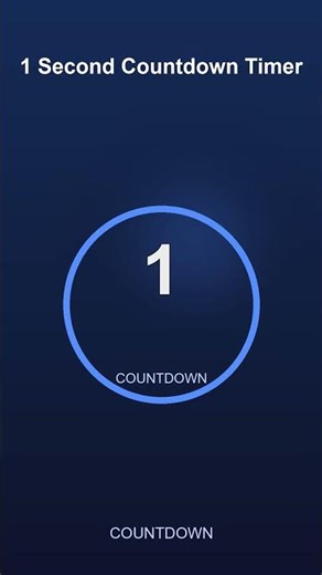 1 Second Timer | Quick Countdown