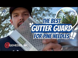 The Best Gutter Guards for Pine Needles | Genesee, WI