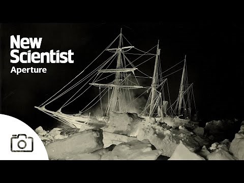 Rare images from Shackleton’s expeditions showcase the power of early Antarctic photography