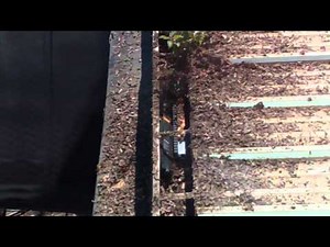 The iRobot Looj Challenge | Looj® 330 | iRobot®