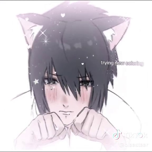 Sasuke Uchiha Inspired Art Featuring Cats