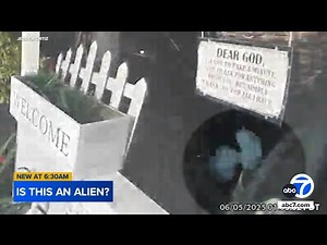 Bizarre video prompts online speculation of 'alien' sighting outside Compton home