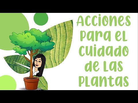 ACCIONES PARA EL CUIDADO DE LAS PLANTAS