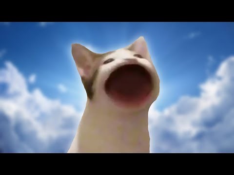 cat | [1 Hour Version]