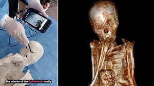 Doctor examining 'alien mummies' in Peru makes new shocking discovery