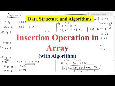 Insertion in Array | Algorithm, Example, and Step-by-Step Tracing | Data Structure for Beginners