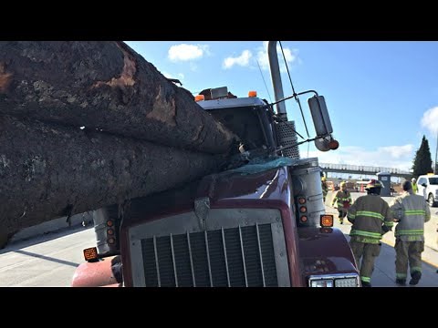 Driver seriously hurt as logging trucks crash on highway