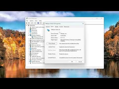 How to Check What Graphics Card You Have on Windows 11 [Easy Guide]