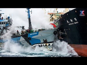 Most Shocking Ship And Boat Collisions Ever Caught on Camera