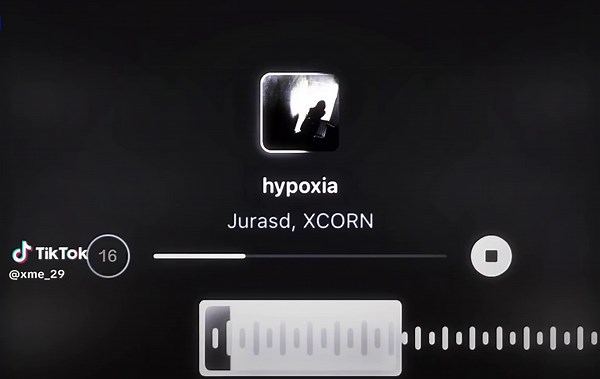 Hypoxia: Explore Hardstyle Audio Editing