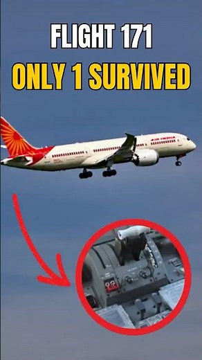 What Really Happened to Flight 171? (Only 1 Survived)